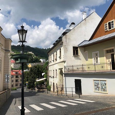 Apartman Vila Rosenberg Banska Stiavnica Exterior photo