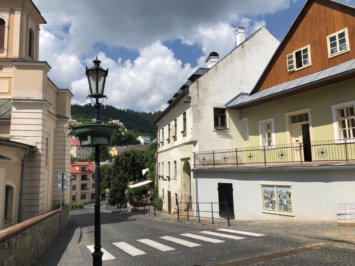 Apartman Vila Rosenberg Banska Stiavnica Exterior photo
